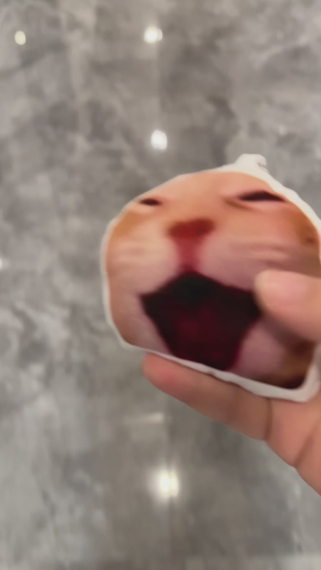 Cackling Cat Sound‑Making Keychain