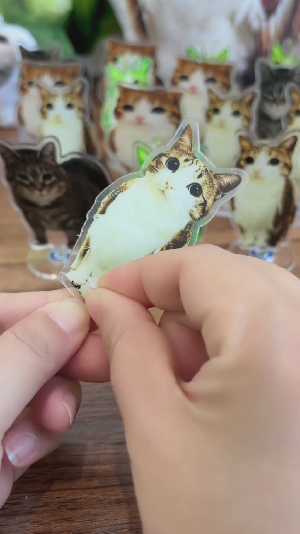 Meowl Rotating Acrylic Stand