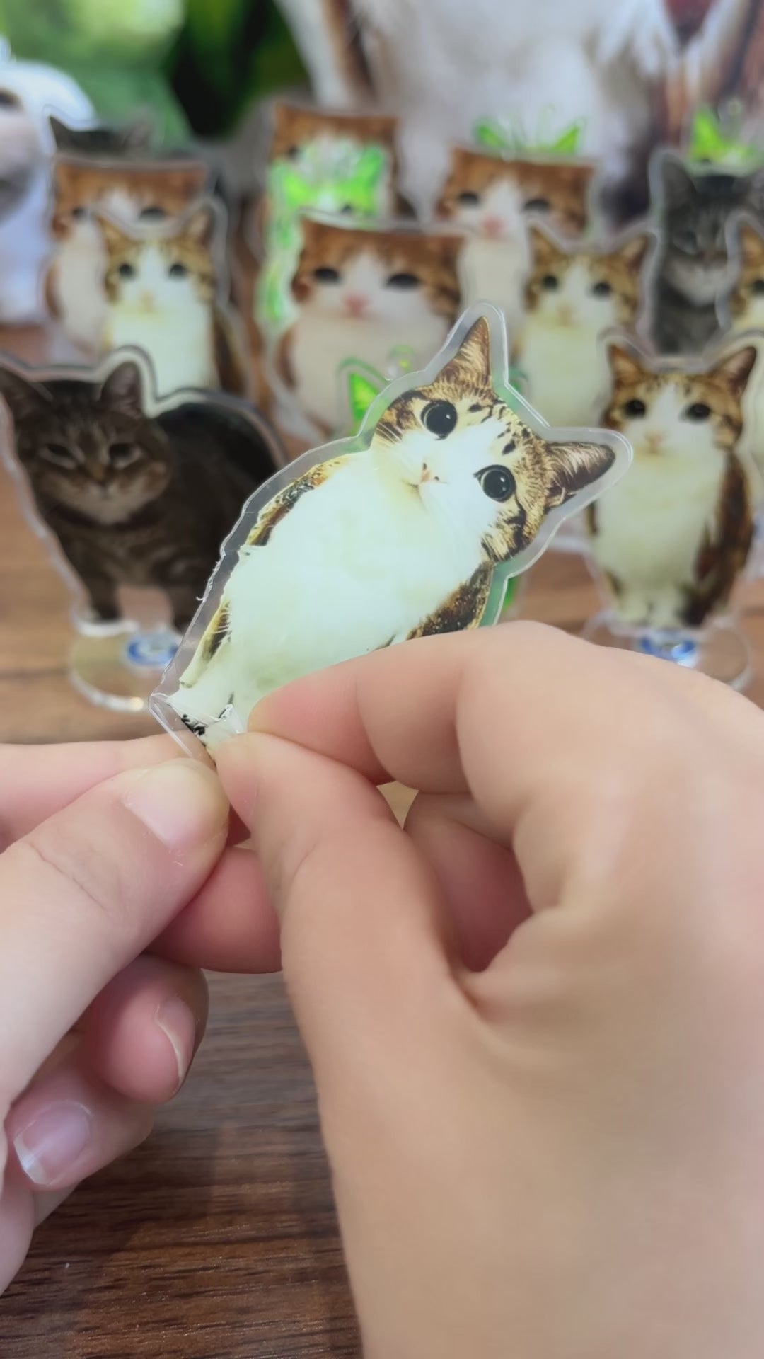 Meowl Rotating Acrylic Stand