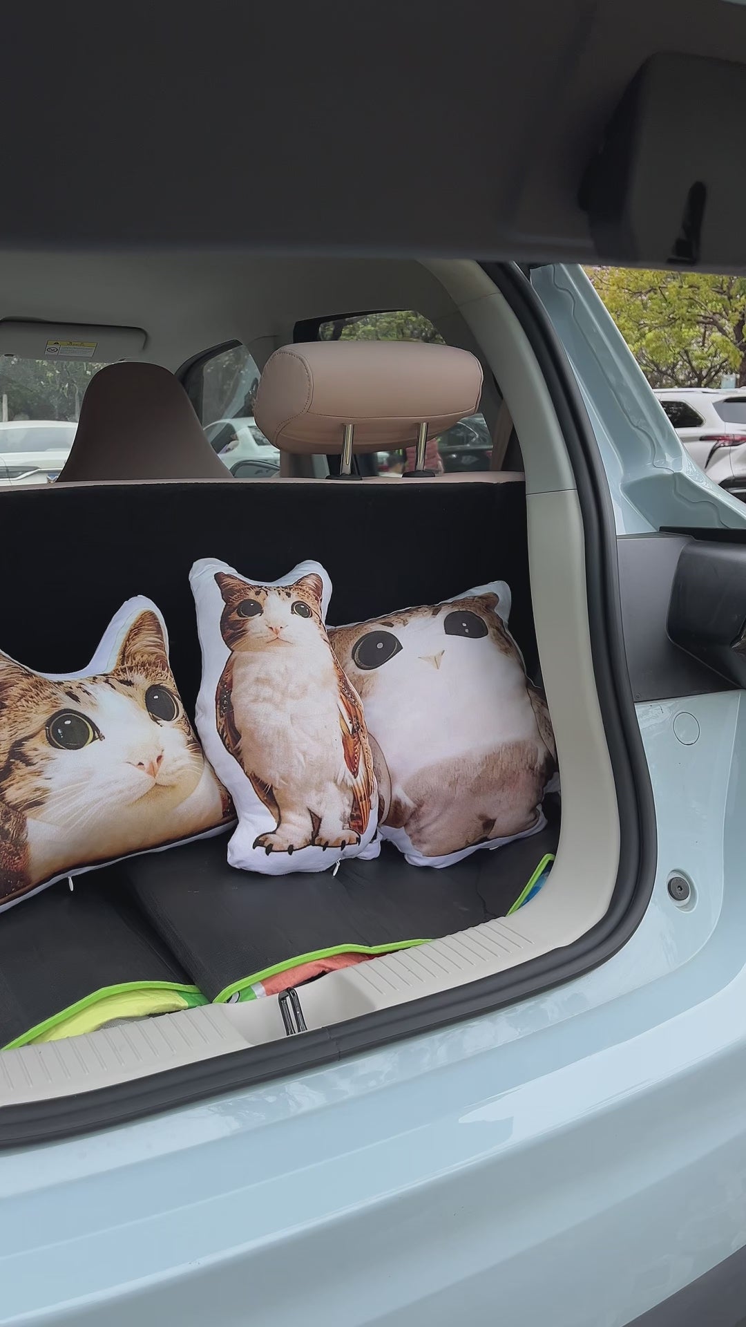 Meowl Pillow