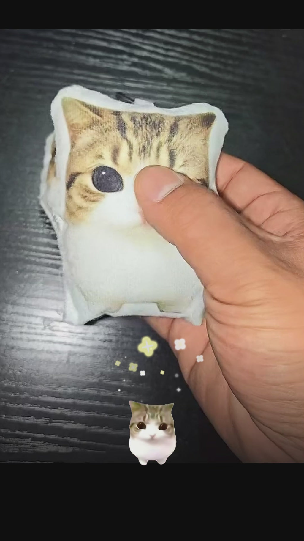Squeeze Sound Meowl Kitten