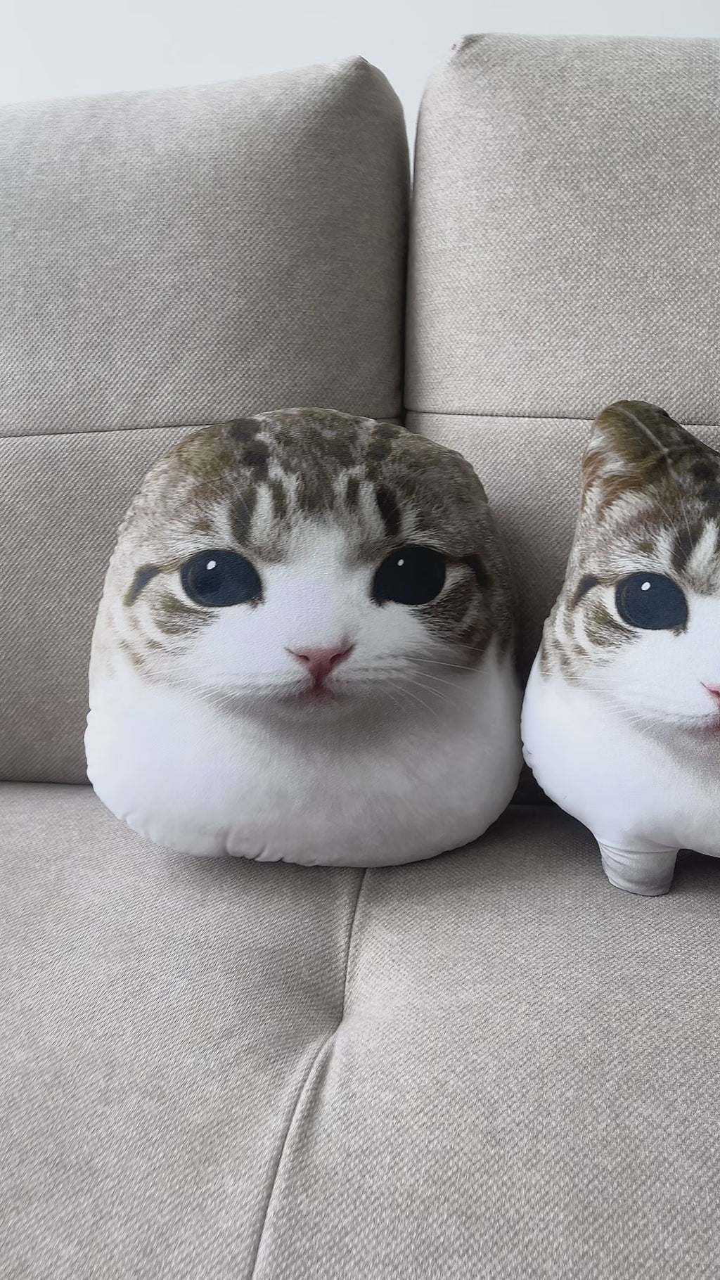 OMG Meowl（Crispy Triangle Cat）