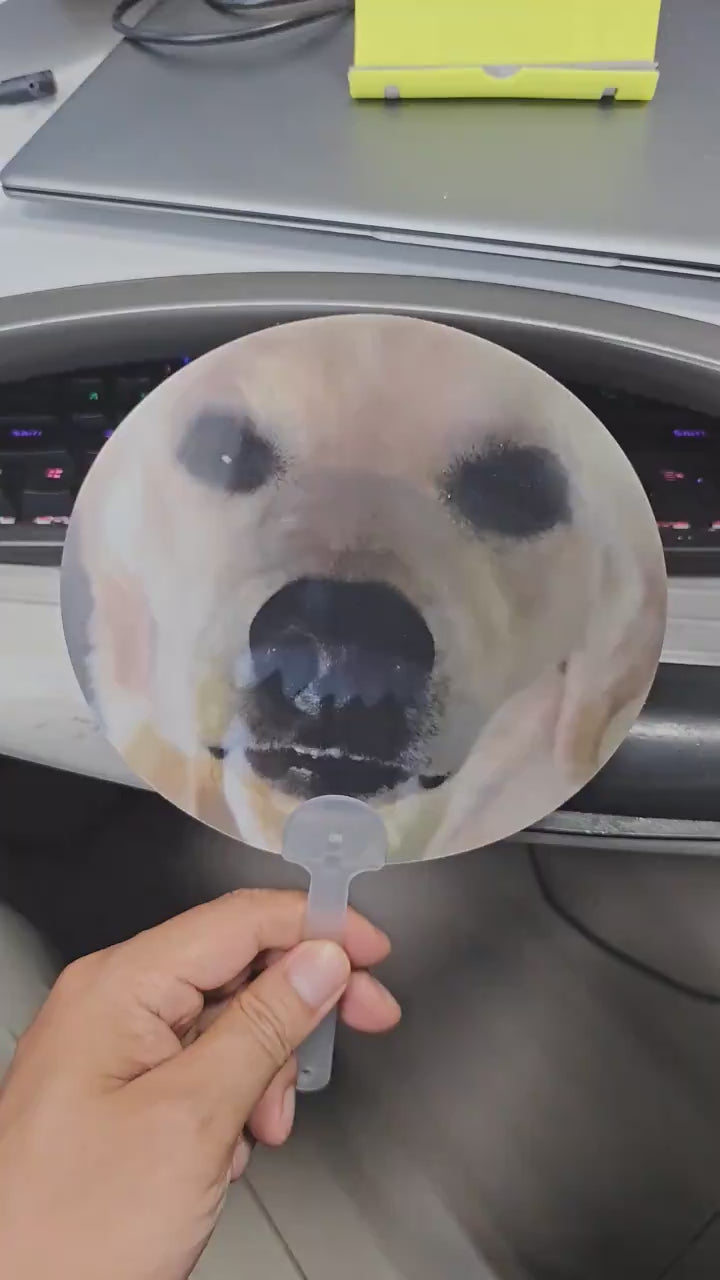 Viral Meme Lenticular Hand Fan | 3D Flip Changing Image Cartoon Meme Fan