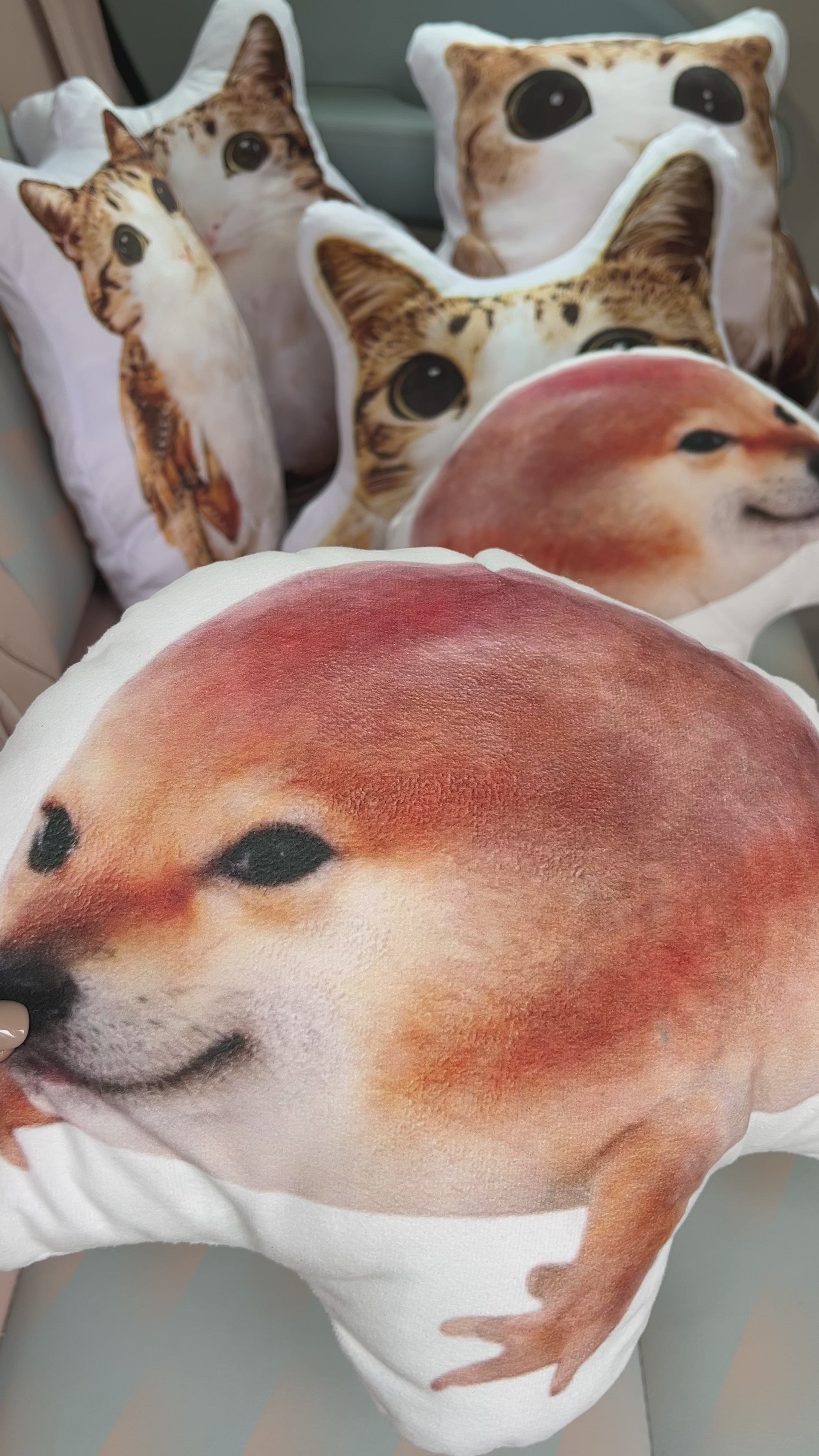 Cartoon shaped pillow