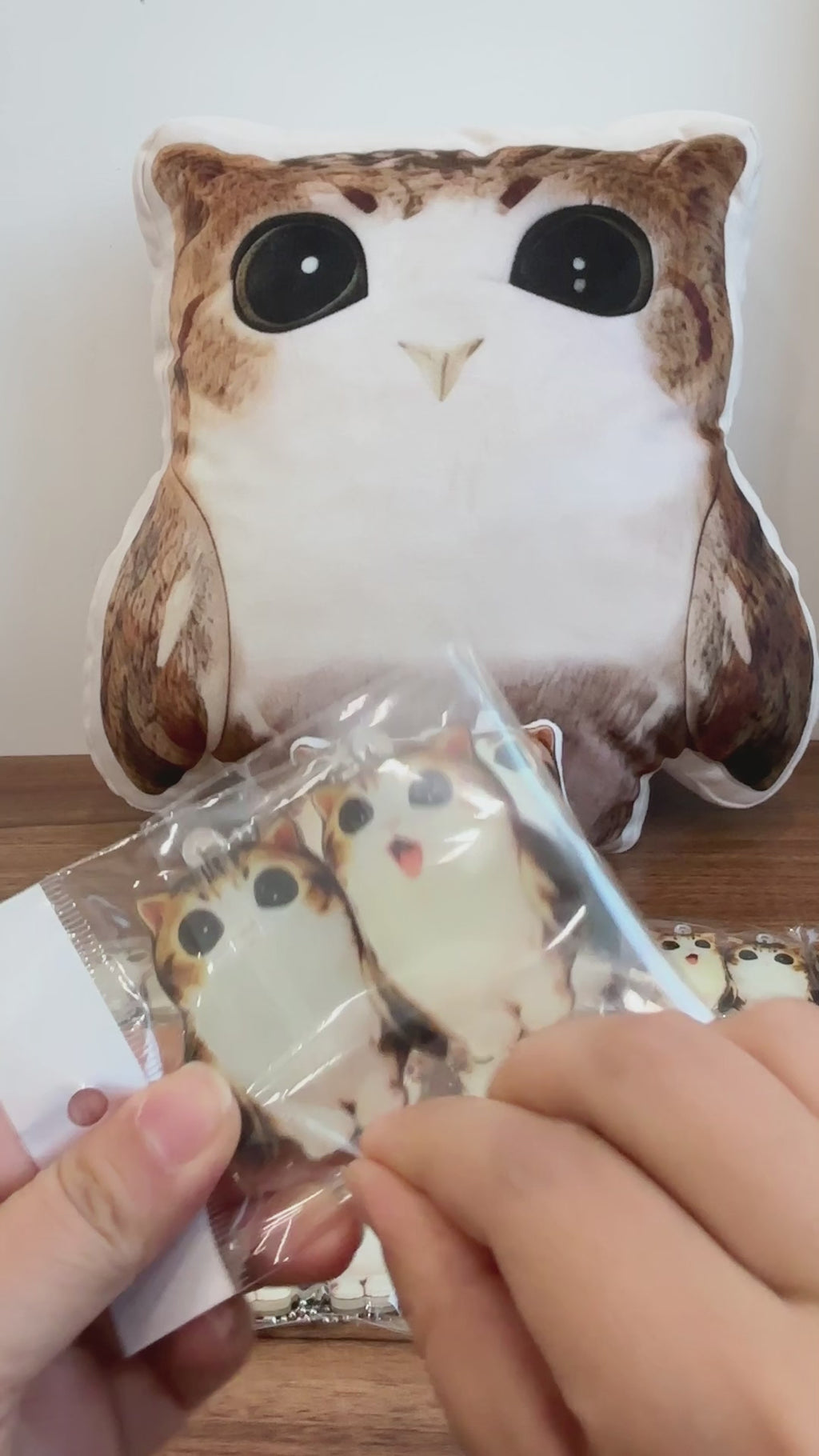 Meowl Twin Magnetic Charms (Set of 2)