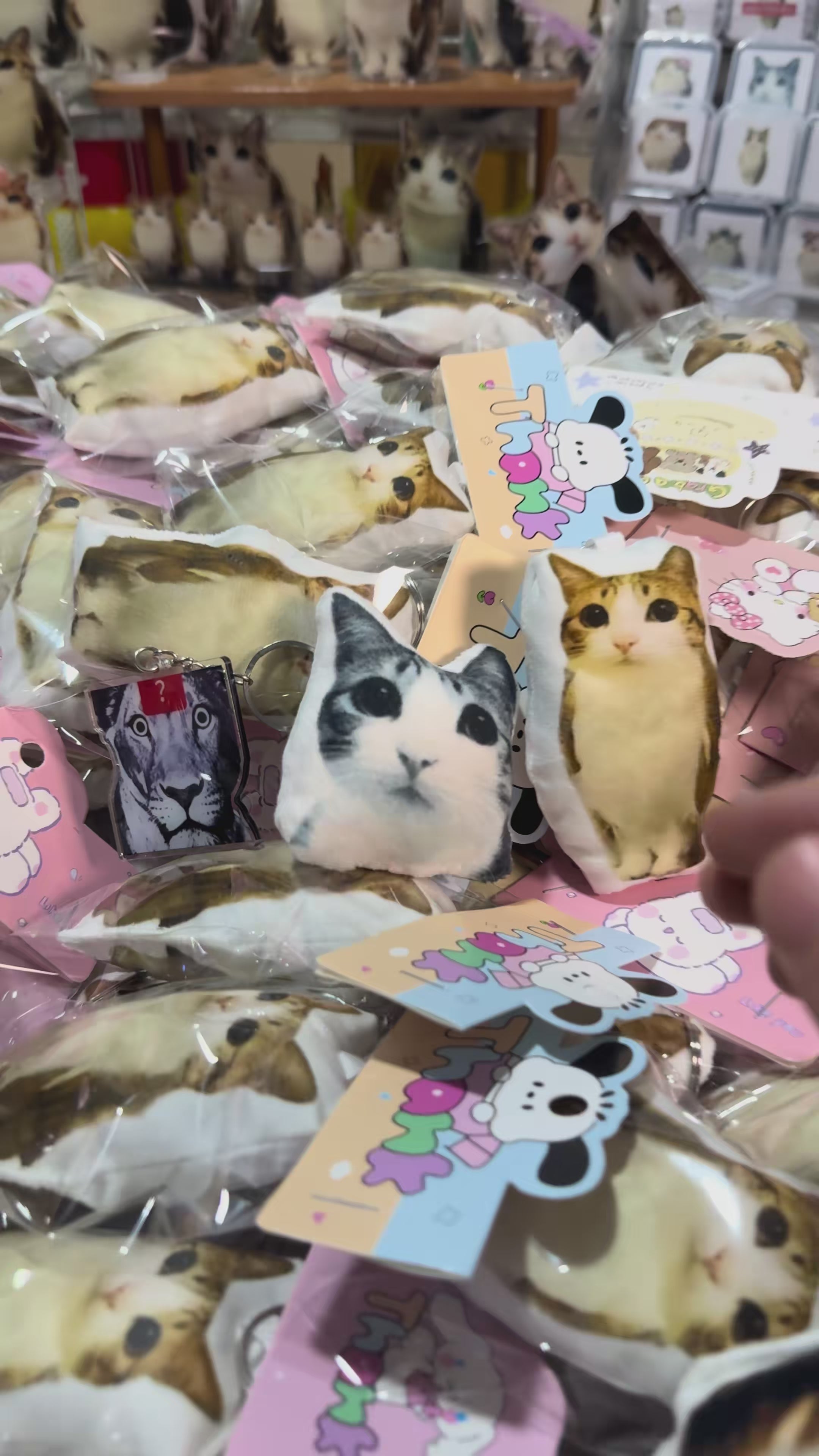 Meowl Squeeze Sound Voice Plush Pendant