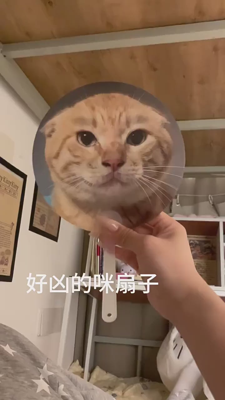 Viral Meme Lenticular Hand Fan | 3D Flip Changing Image Cartoon Meme Fan